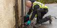 Image 4 for Pest Solutions