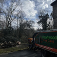 Image 9 for Heartwood Tree Care Ltd