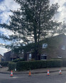 Image 10 for Heartwood Tree Care Ltd