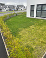 Image 1 for Elgin Artificial Grass Limited