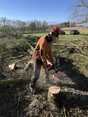 Image 4 for JS Tree Services