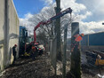 Image 8 for JS Tree Services