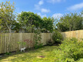 Image 9 for JS Tree Services