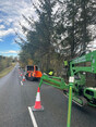 Image 10 for JS Tree Services