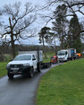 Image 4 for Blaikie Tree Services Ltd