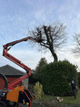 Image 7 for Blaikie Tree Services Ltd