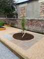 Image 2 for Habitus Alba Landscape Design and Build