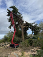 Image 1 for Wyvis Tree Services Ltd