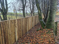Image 1 for C-Fencing Ltd