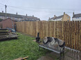 Image 4 for C-Fencing Ltd