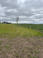 Image 3 for Clark Drystone Walling & Fencing