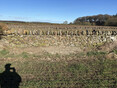 Image 10 for Clark Drystone Walling & Fencing