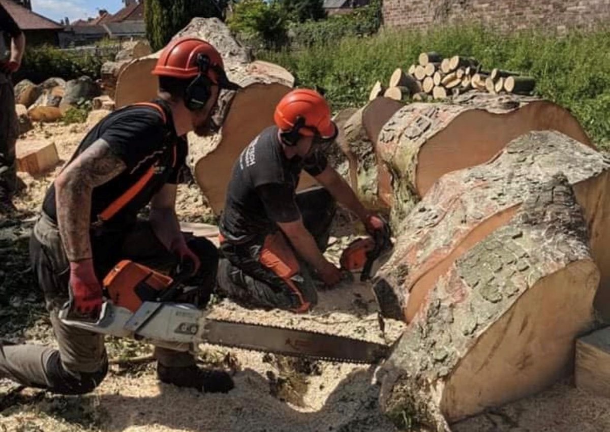 Two Arb-Tech Tree Surgery operatives in full protective equipment sectioning a large felled trunk, Fife Trusted Trader member