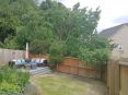 Review Image 2 for Ogilvie Hayes Tree and Garden Services by Gemma