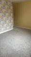 Review Image 1 for David Gordon Carpet And Vinyl Fitter by Jess
