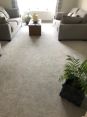 Review Image 1 for David Gordon Carpet And Vinyl Fitter