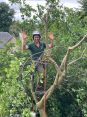 Review Image 1 for Ogilvie Hayes Tree and Garden Services by Fred Lawson