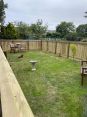 Review Image 1 for Clark Drystone Walling & Fencing by Alison Mowatt